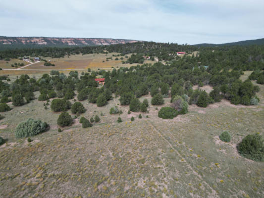 LOT 9 COPPERWEED ROAD, RAMAH, NM 87321, photo 5 of 46