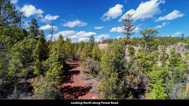 0 FOREST ROAD, RAMAH, NM 87321, photo 2 of 50